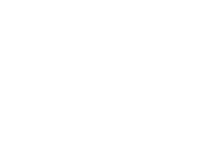logotipo Bolognesi